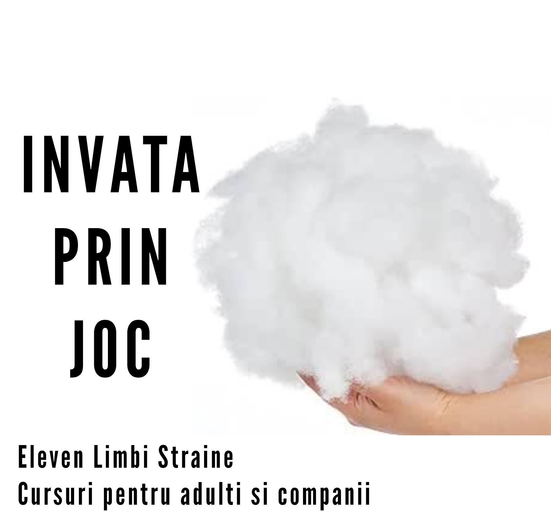 cursuri limbi straine